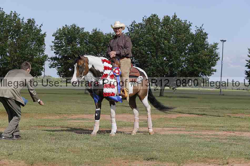 Proof Number 13r12_0800