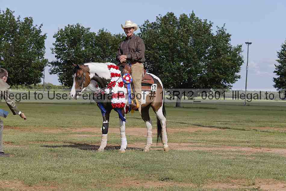 Proof Number 13r12_0801