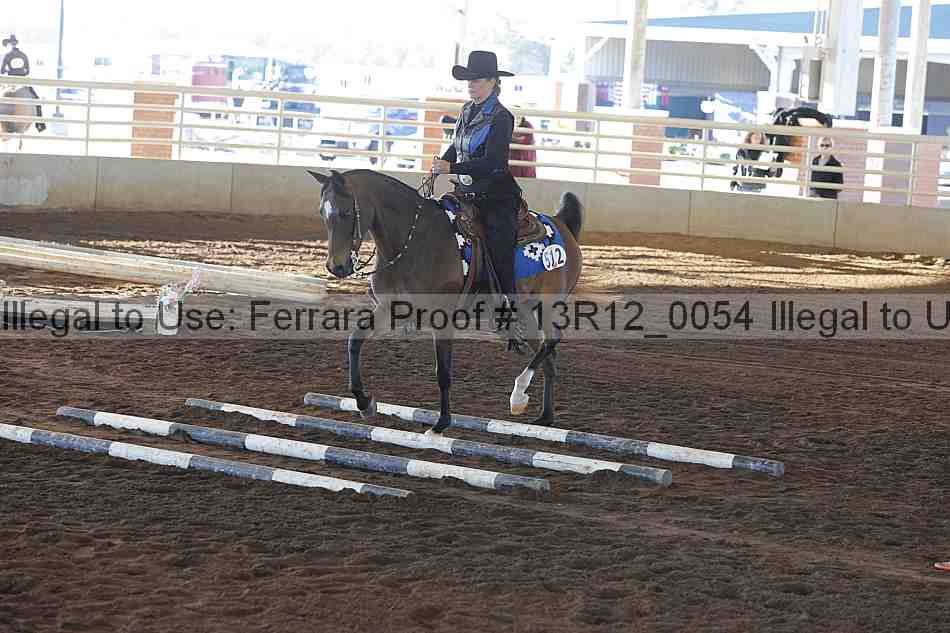 Proof Number 13r12_0054