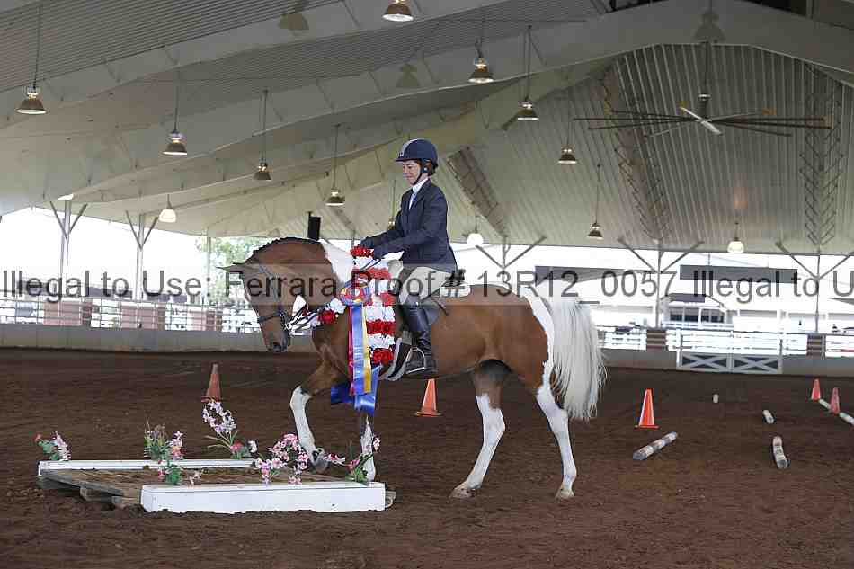 Proof Number 13r12_0057
