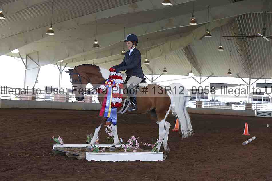 Proof Number 13r12_0058