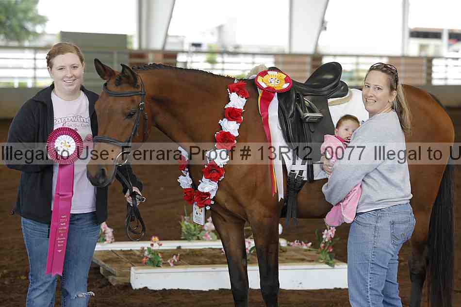 Proof Number 13r12_0077