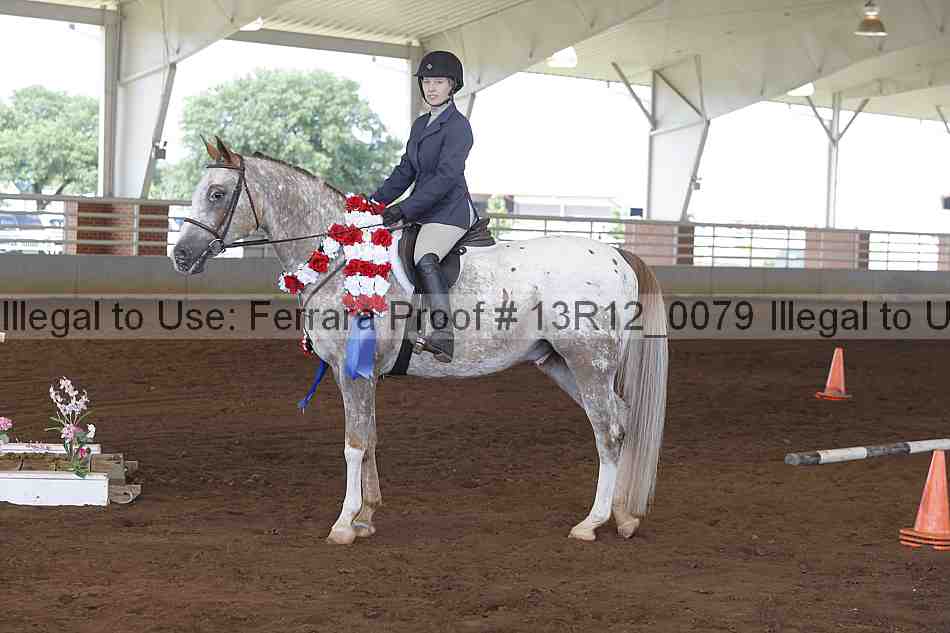 Proof Number 13r12_0079