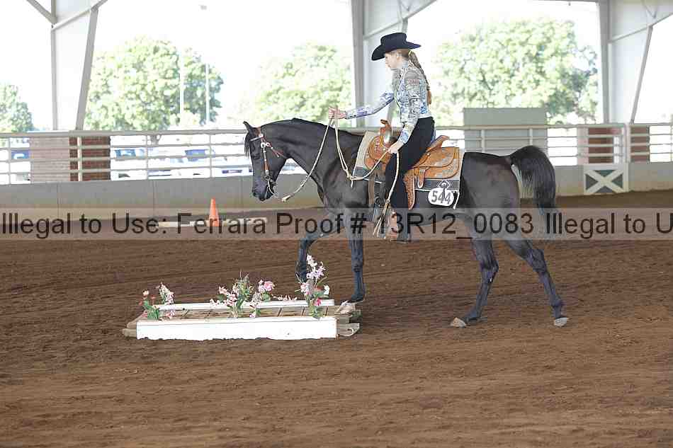 Proof Number 13r12_0083