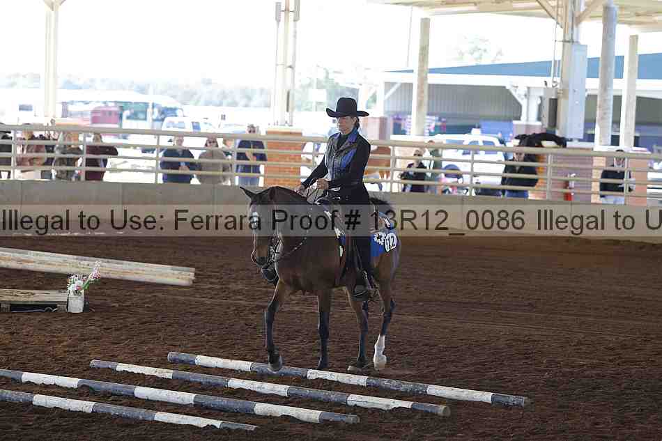 Proof Number 13r12_0086