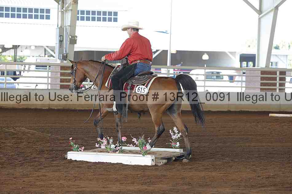 Proof Number 13r12_0091
