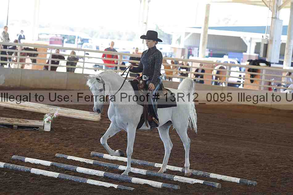 Proof Number 13r12_0095