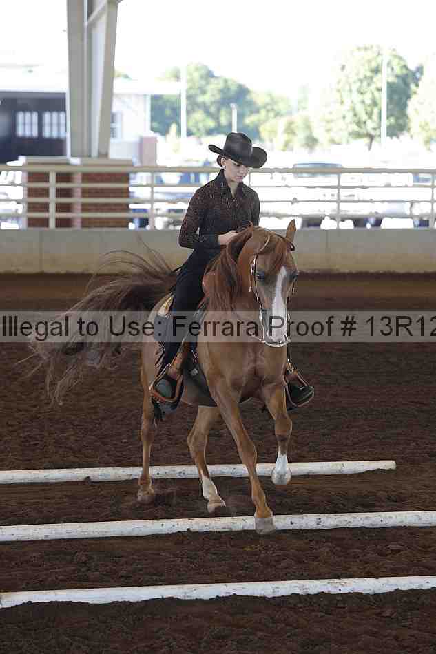 Proof Number 13r12_0098
