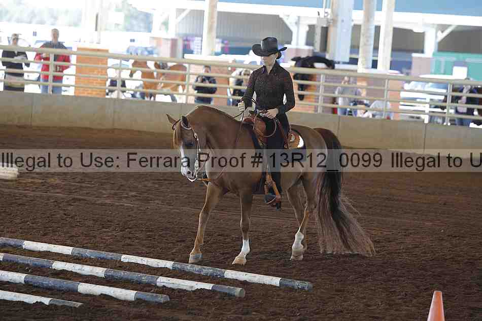 Proof Number 13r12_0099