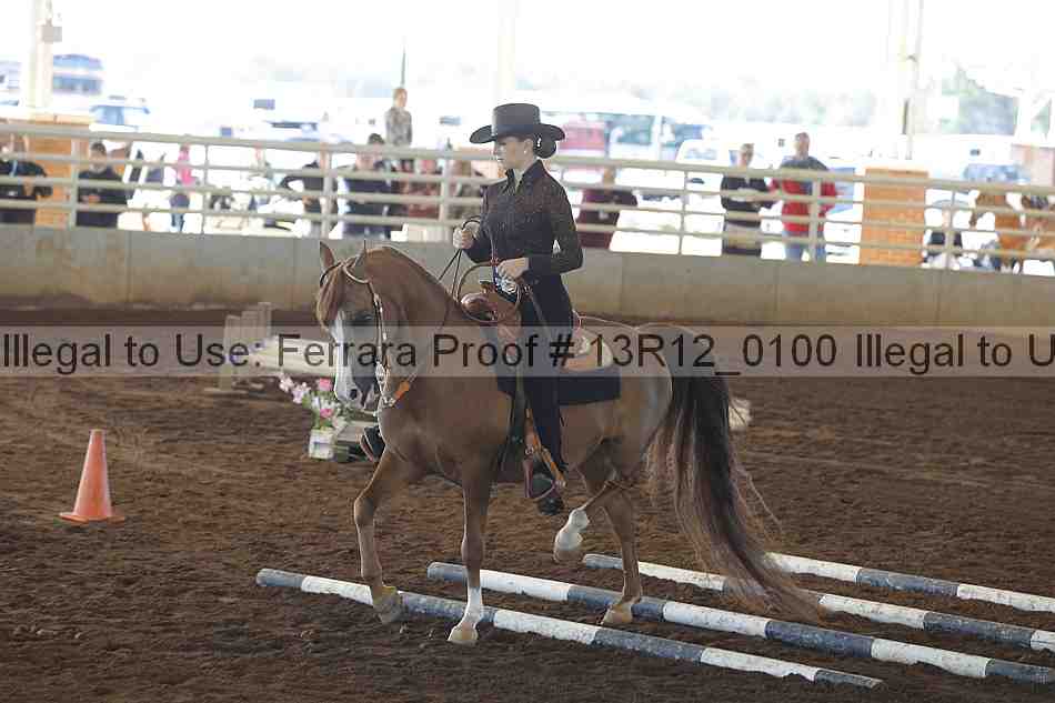 Proof Number 13r12_0100