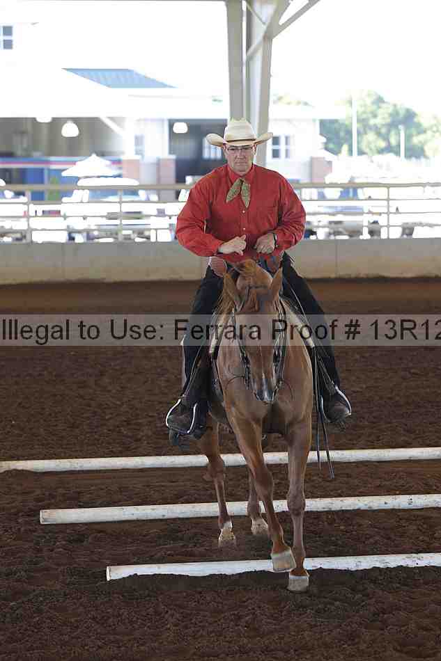 Proof Number 13r12_0102