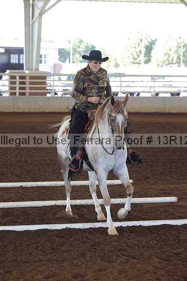 Proof Number 13r12_0105
