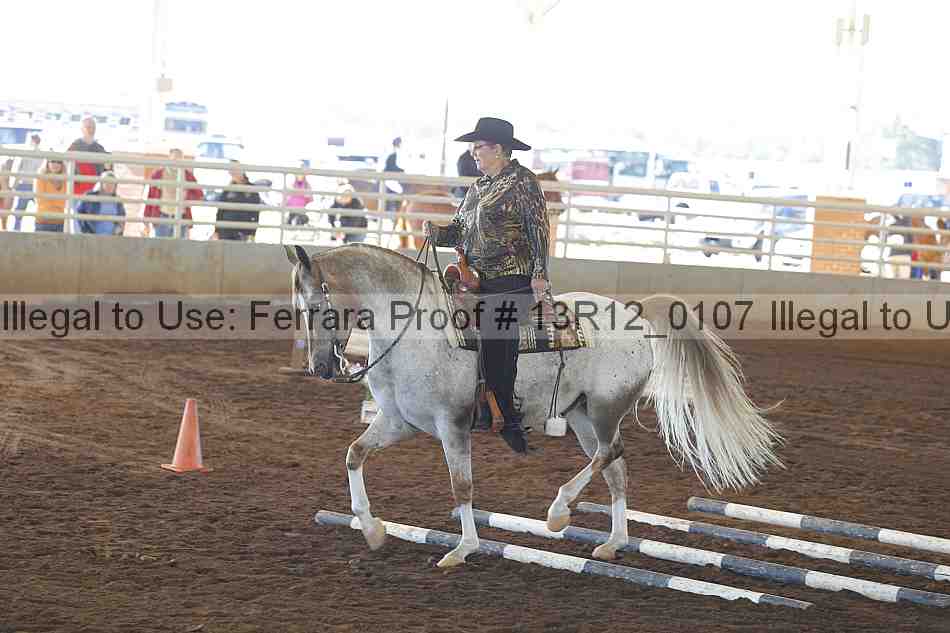 Proof Number 13r12_0107