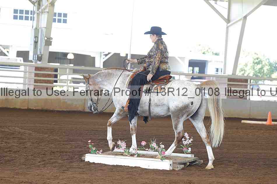 Proof Number 13r12_0108