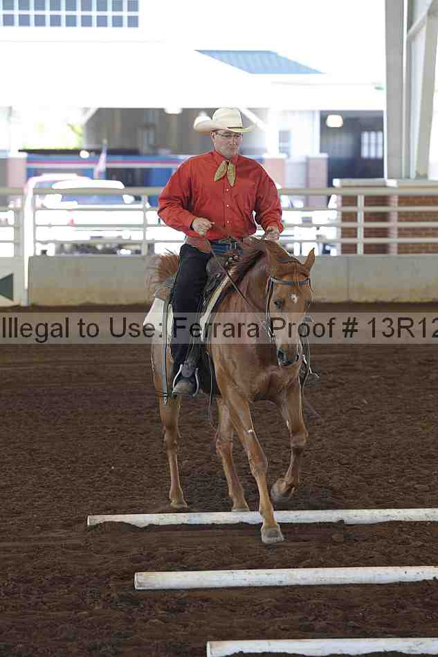 Proof Number 13r12_0109