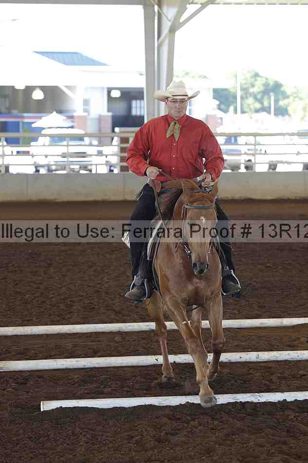 Proof Number 13r12_0110