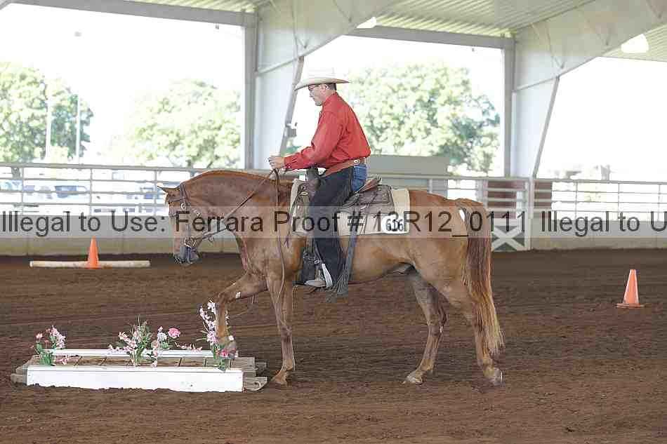 Proof Number 13r12_0111
