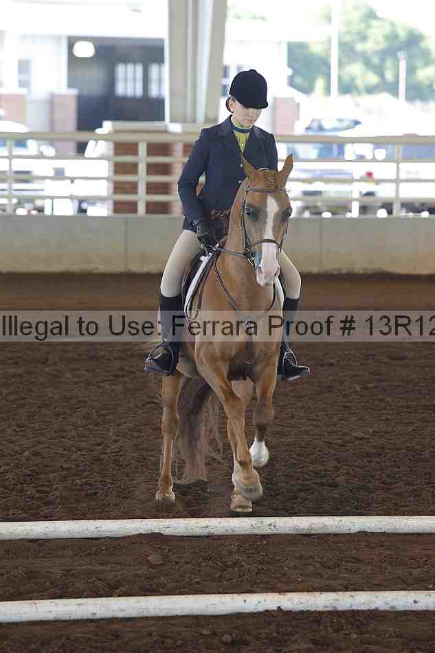 Proof Number 13r12_0113