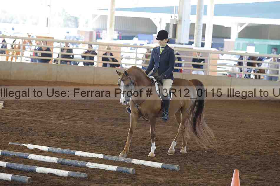 Proof Number 13r12_0115
