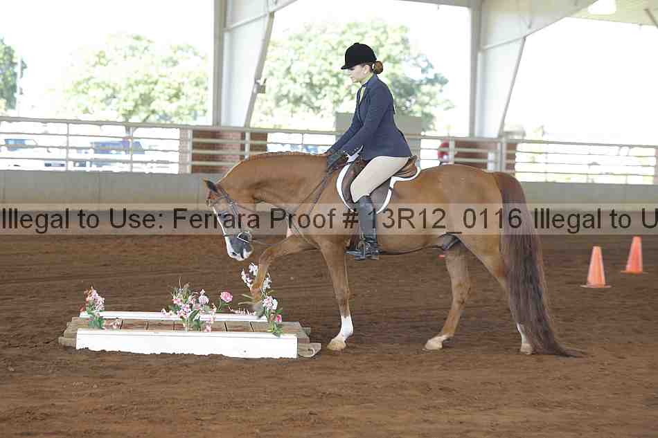 Proof Number 13r12_0116