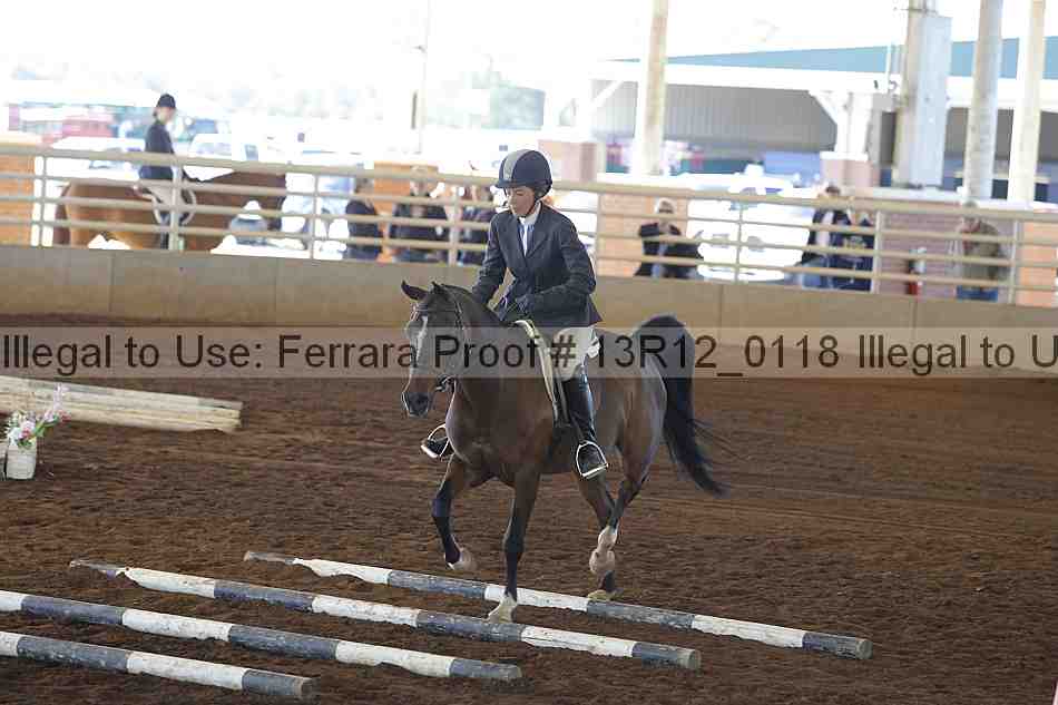 Proof Number 13r12_0118