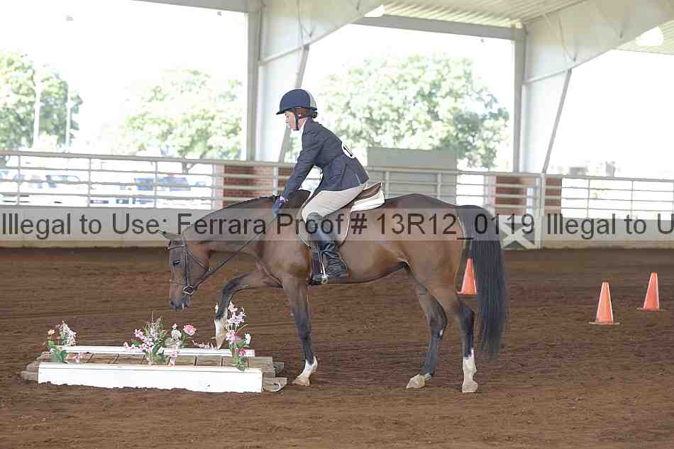 Proof Number 13r12_0119
