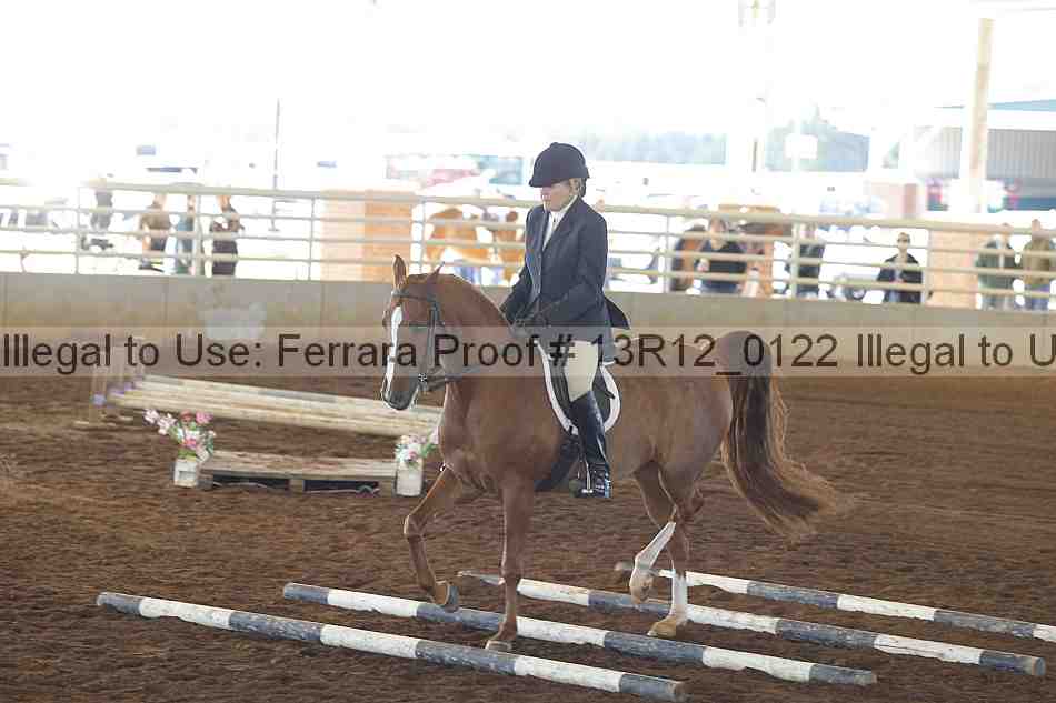 Proof Number 13r12_0122