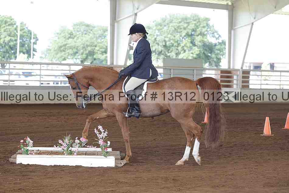Proof Number 13r12_0123