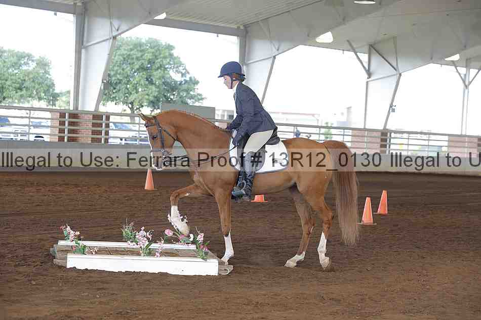 Proof Number 13r12_0130
