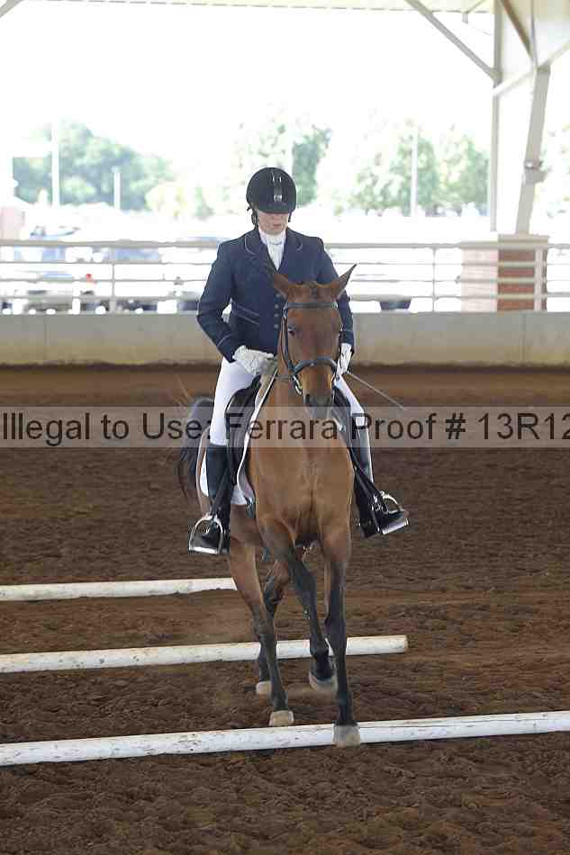 Proof Number 13r12_0132