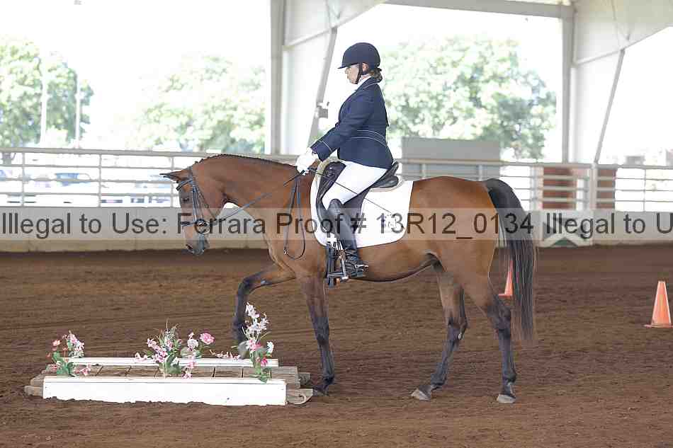 Proof Number 13r12_0134