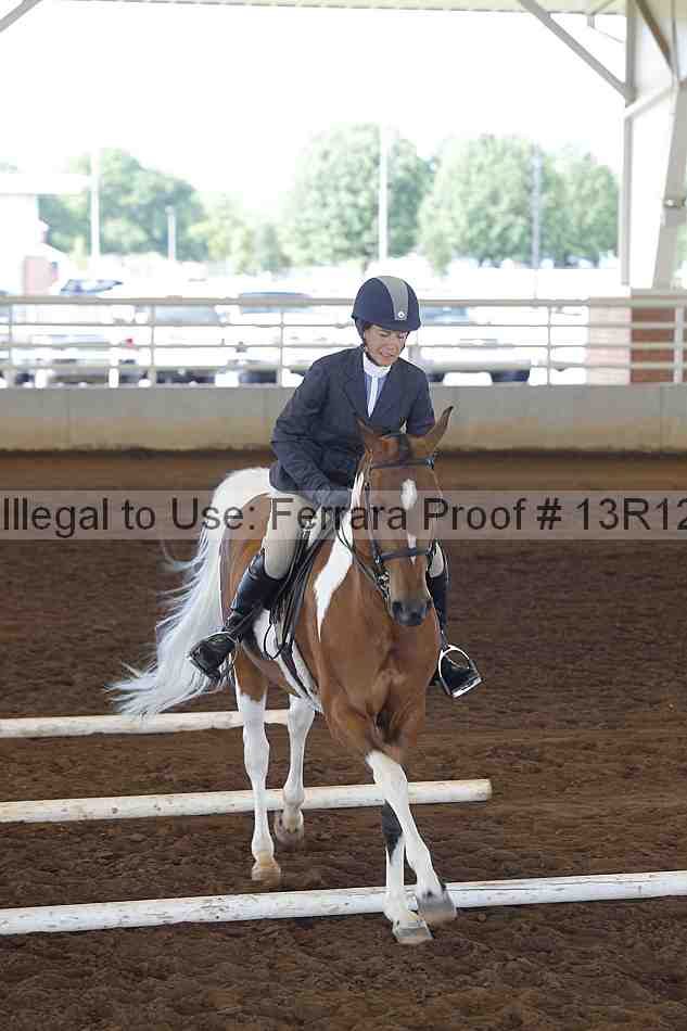 Proof Number 13r12_0135