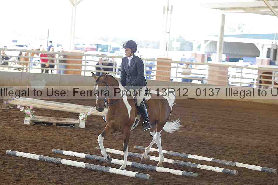 Proof Number 13r12_0137