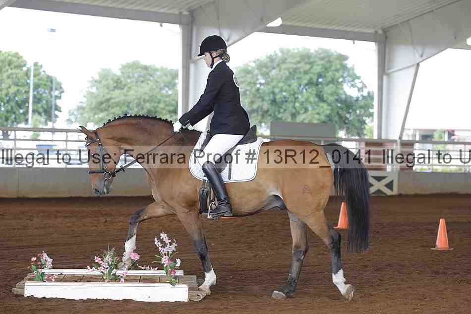 Proof Number 13r12_0141