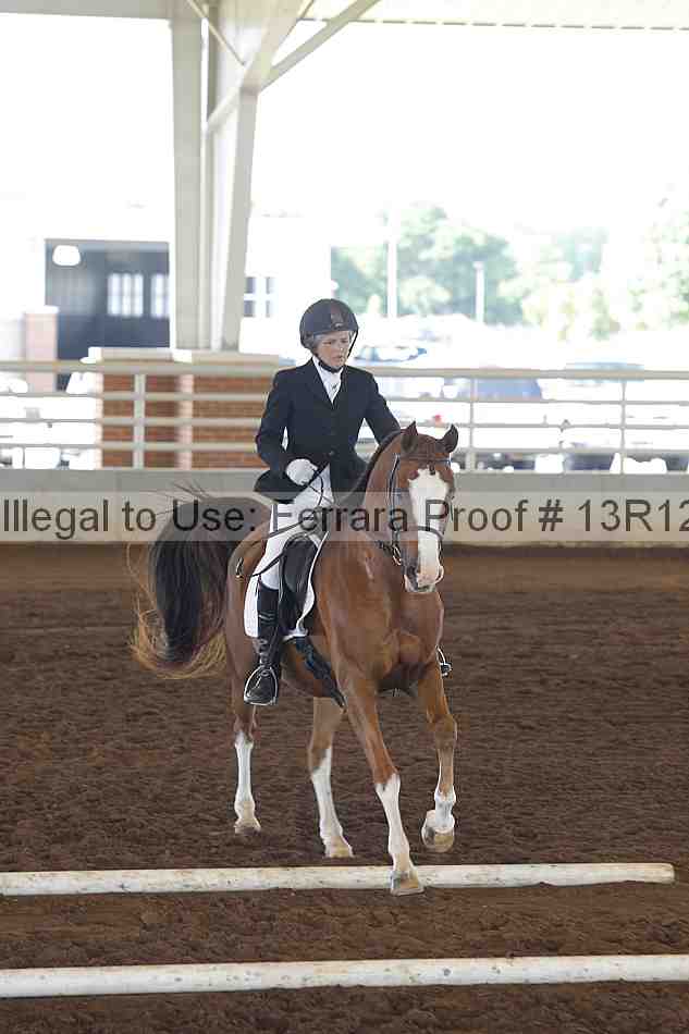 Proof Number 13r12_0154