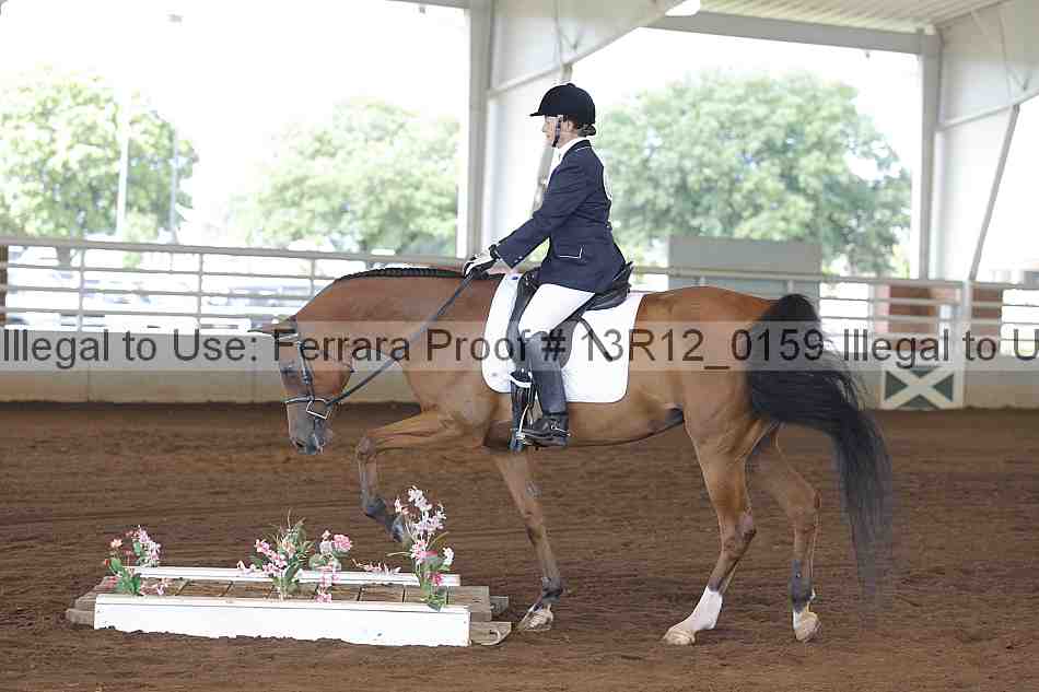 Proof Number 13r12_0159