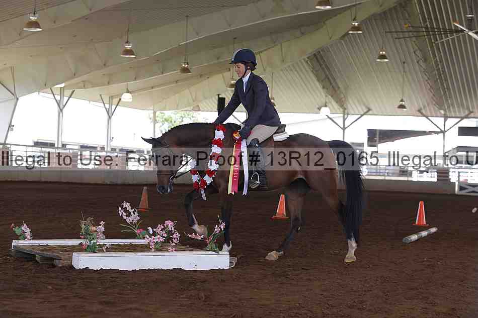 Proof Number 13r12_0165