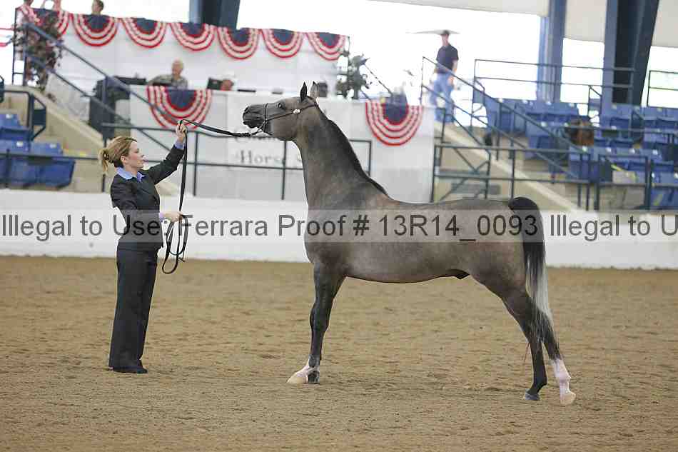 Proof Number 13r14_0093