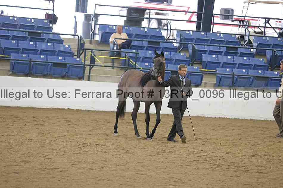 Proof Number 13r14_0096