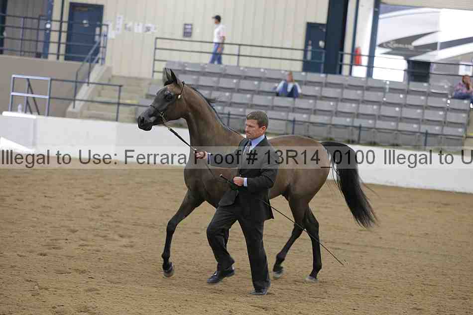 Proof Number 13r14_0100