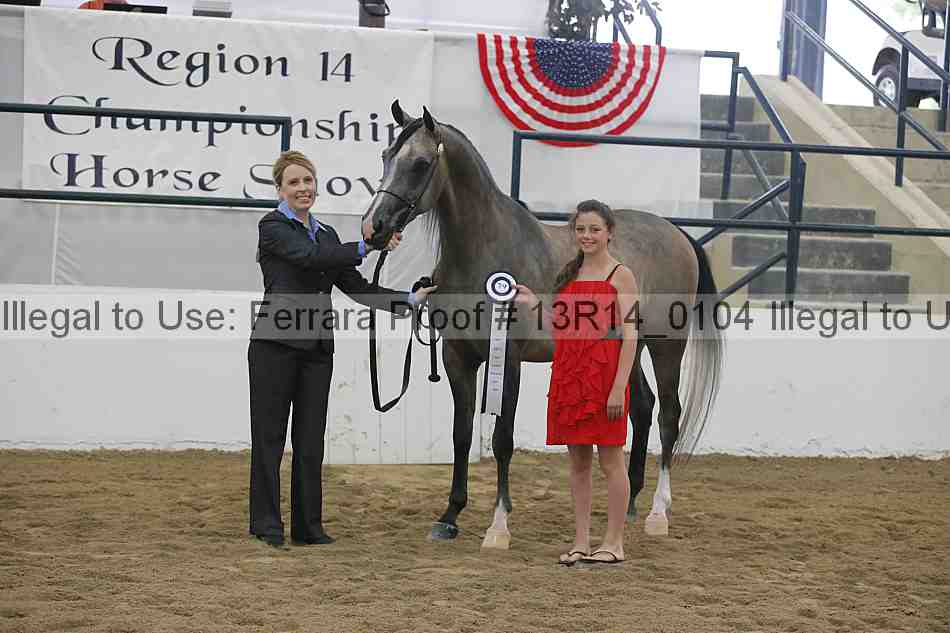 Proof Number 13r14_0104