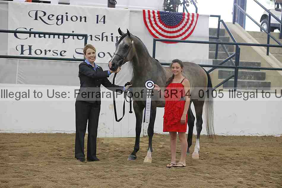 Proof Number 13r14_0105