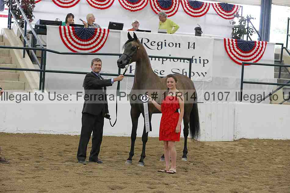 Proof Number 13r14_0107