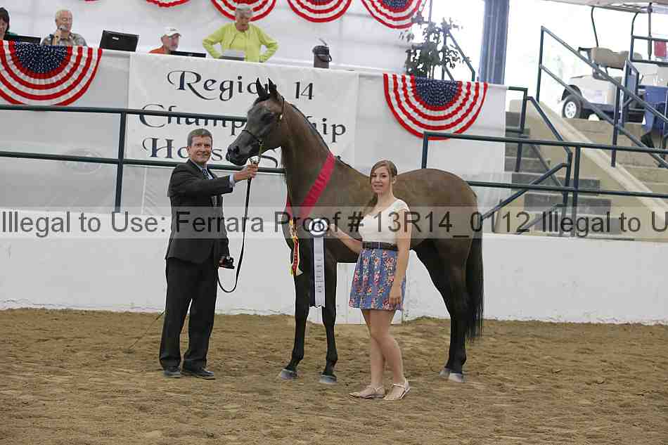 Proof Number 13r14_0112