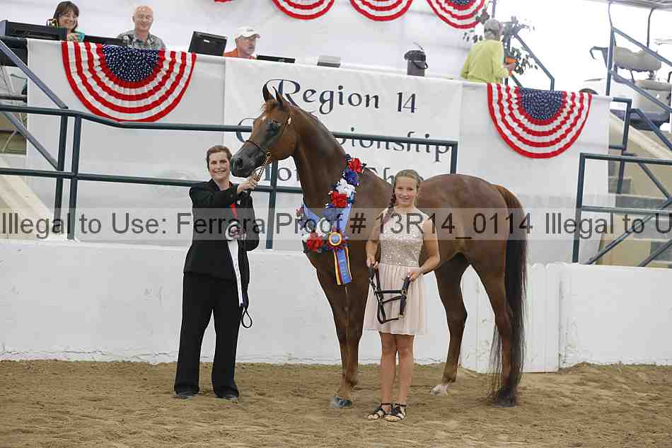 Proof Number 13r14_0114