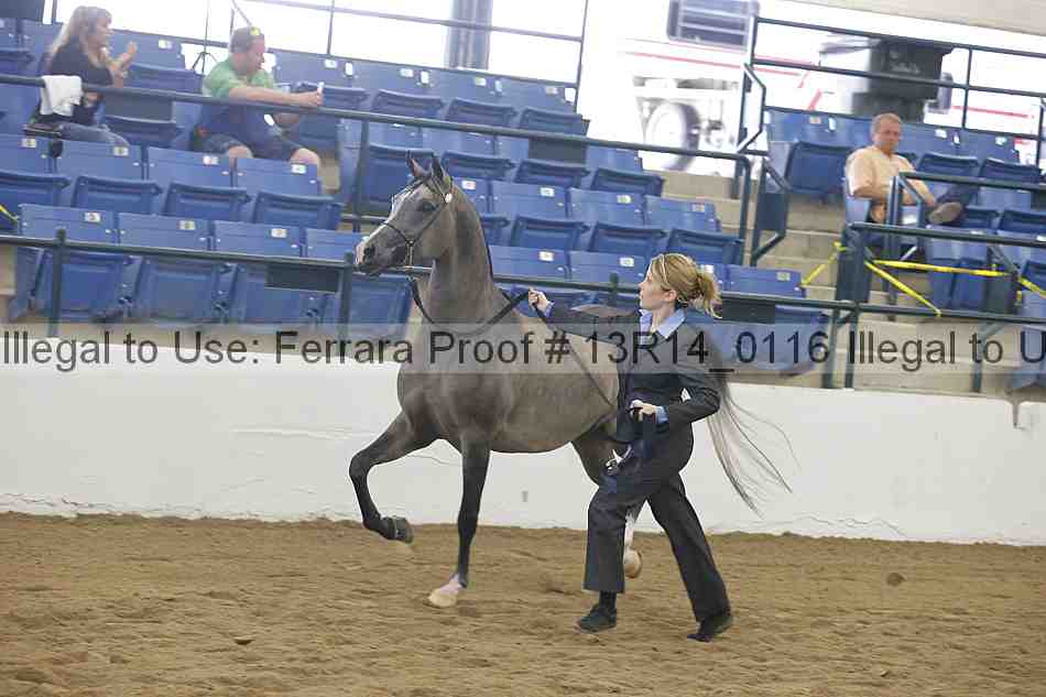 Proof Number 13r14_0116