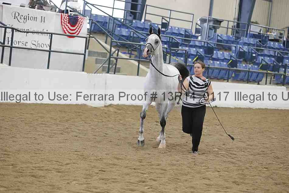 Proof Number 13r14_0117