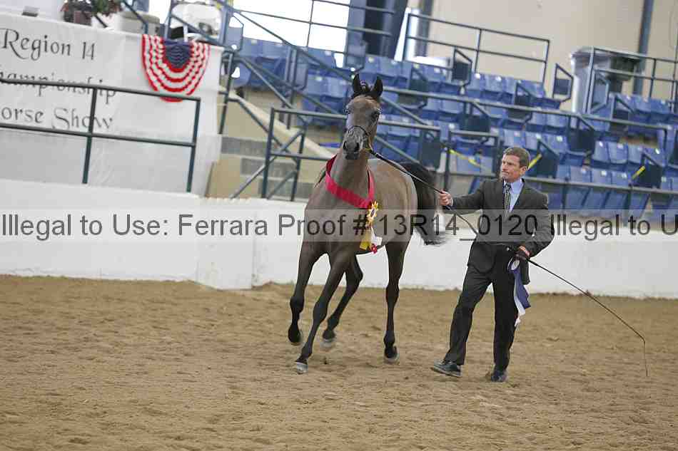Proof Number 13r14_0120