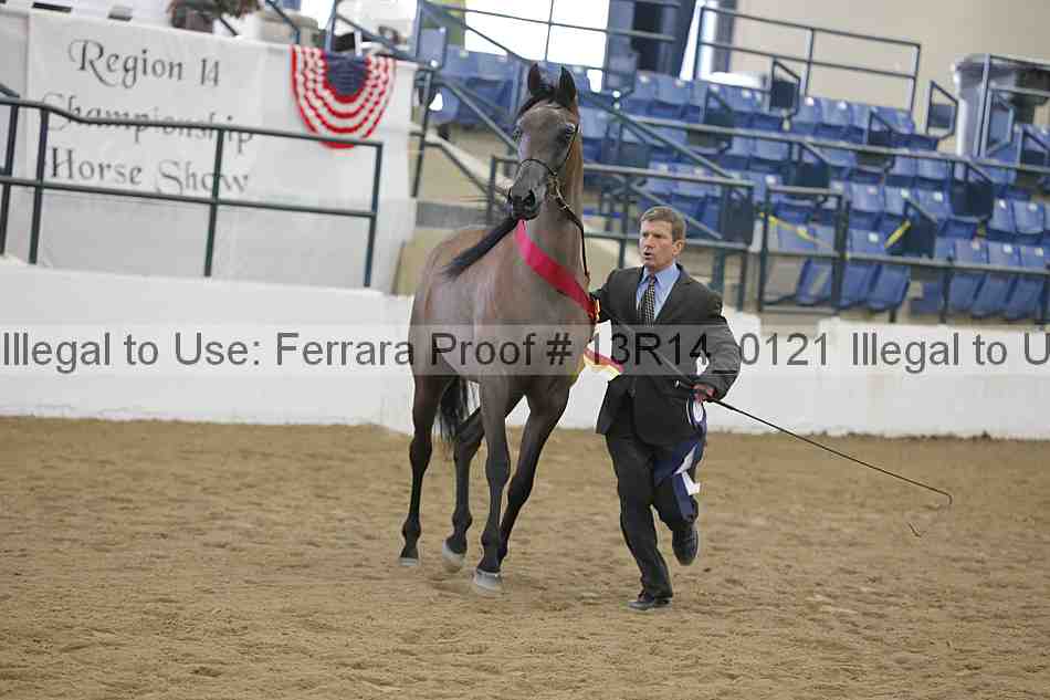 Proof Number 13r14_0121