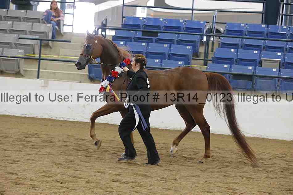 Proof Number 13r14_0123